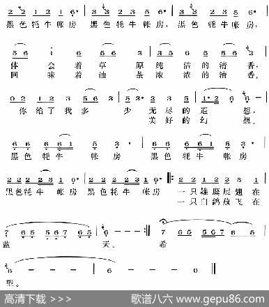 黑色牦牛帐房 - 丁居红|银杏吉斯
