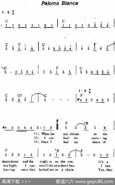 [美]PalomaBlanca（白兰鸽、带和弦）