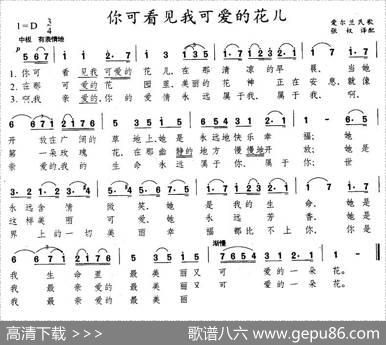 你可看见我可爱的花儿（爱尔兰）