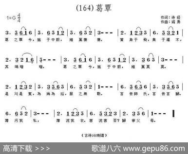 长歌行汉乐府青青园中葵|阎勇