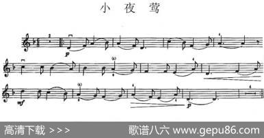 小夜莺