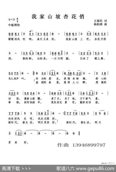 我家山坡杏花俏（广场舞歌） - 王福信|杨柏涛