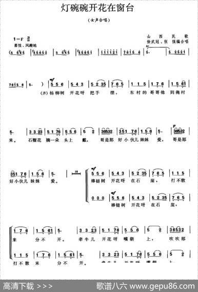 灯碗碗开花在窗台