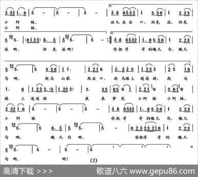茶马情（纪录片《茶马古道》主题曲） - 张新民|张新民