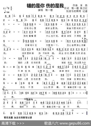 错的是你伤的是我（演唱郭一橙） - 郭一橙陈卫红|陈浩