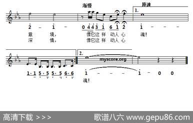[捷]小提琴的流韵（线简谱对照版）|薛范译配