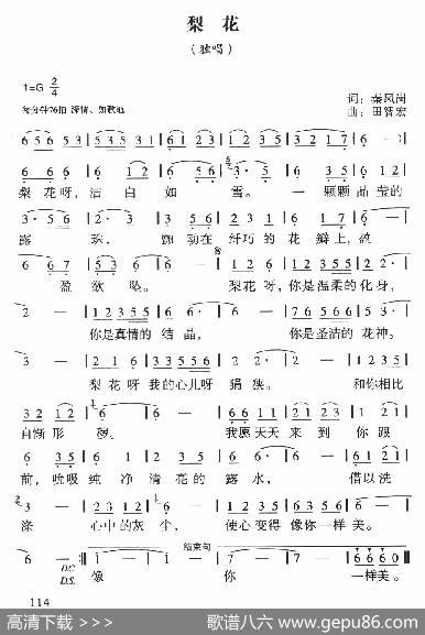 梨花 - 秦凤岗|田智宏