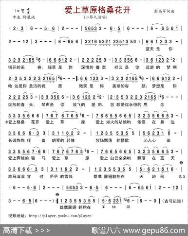 爱上草原格桑花开 - 彭高军|彭高军