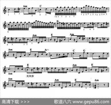 献给爱丽丝