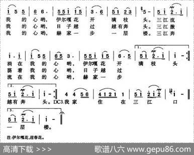 伊尔嘎花开满枝头 - 刘洁|薛志强