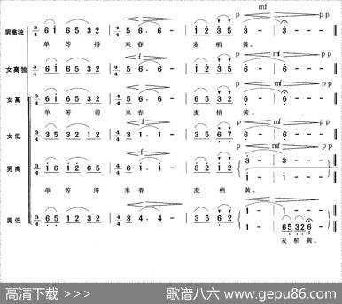 小河淌水（无伴奏男领唱与混声四部合唱）|时乐濛编曲
