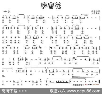 沙枣花（胡宏伟词刘介华曲） - 胡宏伟|刘介华