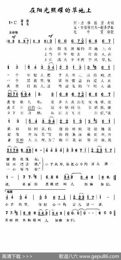 在阳光照耀的草地上