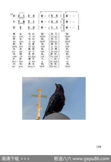 黑乌鸦ЧЕРНЫЙВОРОН|俄罗斯民歌