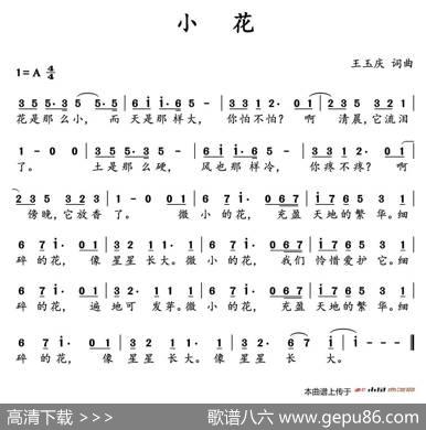 小花（王玉庆词曲） - 王玉庆|王玉庆