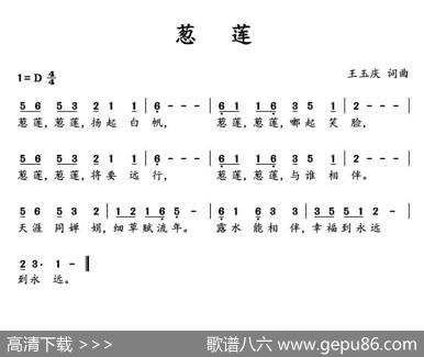 葱莲 - 王玉庆|王玉庆