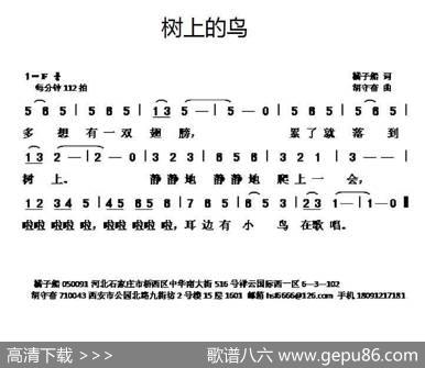 树上的鸟 - 橘子船|胡守奋