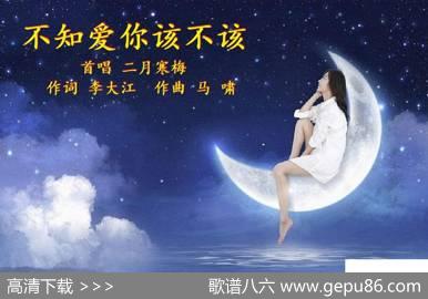 不知爱你该不该 - 李大江|马啸（曲编）