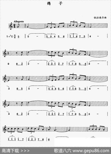 鸽子（线、简谱混排版）