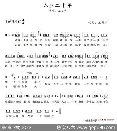 人生二十年 - 王新宇|王新宇
