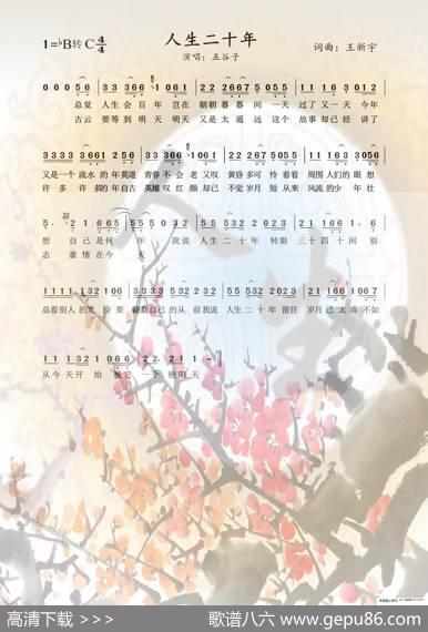 人生二十年 - 王新宇|王新宇