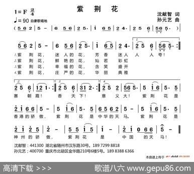 紫荆花（沈献智词孙元艺曲） - 沈献智|孙元艺