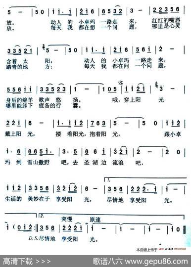 享受阳光 - 苏柳|黄格省