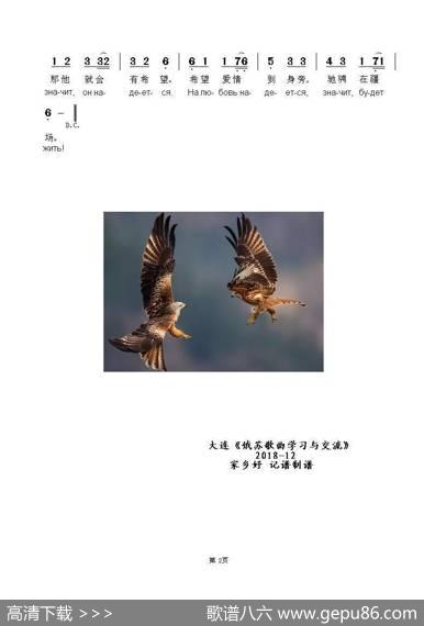 两只雄鹰ДВАОРЛА（中俄简谱）|奥列格·加兹玛诺夫词曲