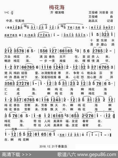 梅花海（女声独唱） - 王俊峰刘世普|王俊峰