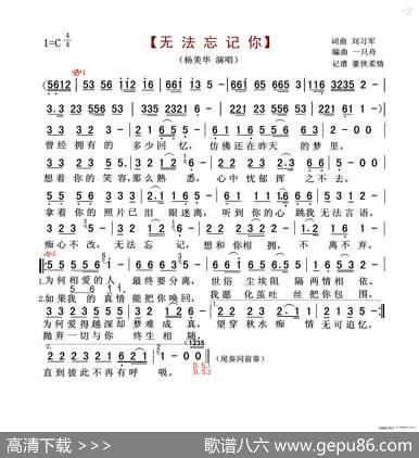 无法忘记你（杨美华） - 刘习军|刘习军