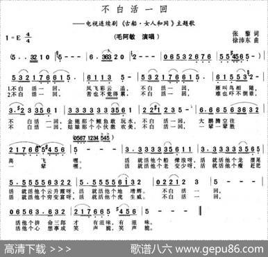 不白活一回（电视剧《古船·女人和网》片尾曲） - 张藜|徐沛东