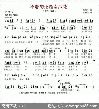 不老的还是南瓜花 - 熊明修|熊初保