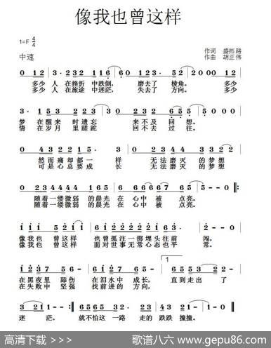 像我也曾这样（盛拓路词胡正伟曲） - 盛拓路|胡正伟