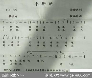 小蝌蚪 - 毕健民|段福培