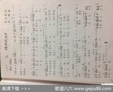 梧桐花又开 - 李亚娟|莫愁