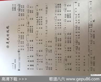 你是我的玫瑰 - 谷国宏|刘弟夫
