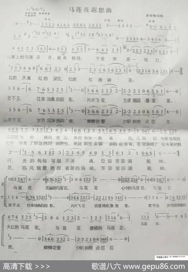 马莲花遐想曲 - 袁俊德|袁俊德