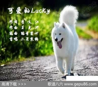 可爱的Lucky - 李大江|王光兴