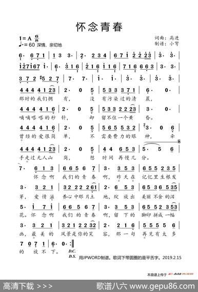 怀念青春 - 高进|高进