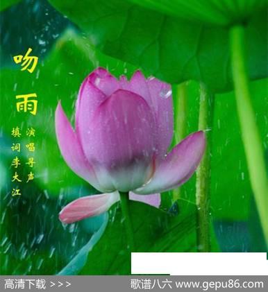 吻雨 - 李大江填词