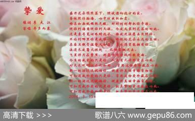 挚爱 - 李大江填词