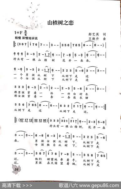山楂树之恋 - 郝艺英|王焕升