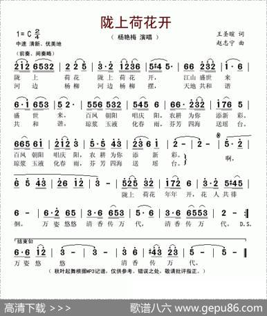 陇上荷花开 - 王圣暄|赵志宁