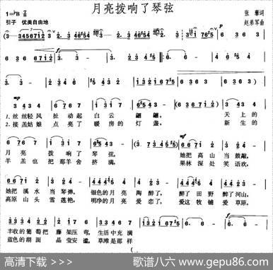 月亮拨响了琴弦 - 张藜|赵弟军
