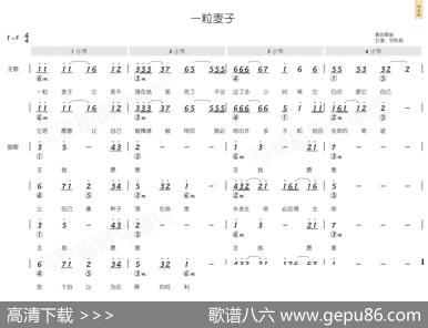 一粒麦子（简和谱） - 林婉容|林婉容