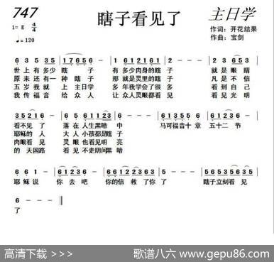 747瞎子看见了（开花结果词宝剑曲） - 开花结果|宝剑
