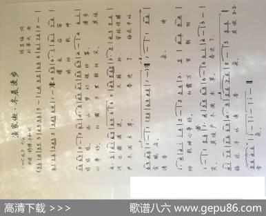 渔家傲.冬晨漫步 - 陈显福|刘第夫
