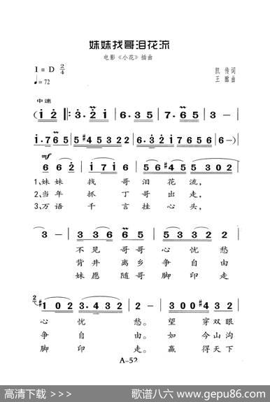 妹妹找哥泪花流（老人适用） - 凯传|王酩