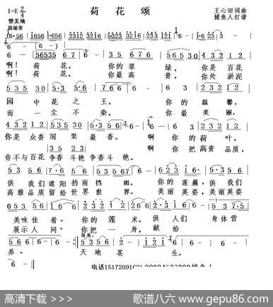 荷花颂（旋律版） - 王心田|王心田