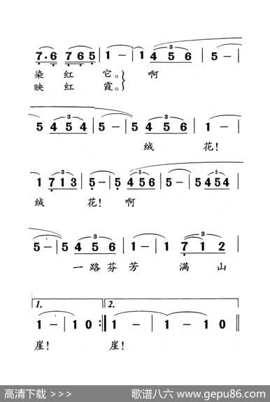 绒花（老人适用） - 刘国富、田农|王酩